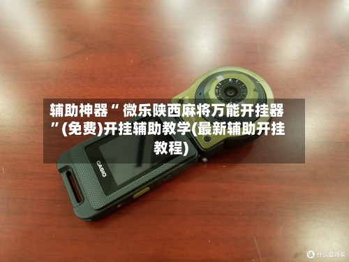 辅助神器“ 微乐陕西麻将万能开挂器”(免费)开挂辅助教学(最新辅助开挂教程)-第3张图片