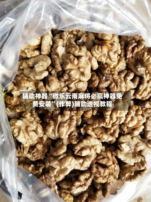 辅助神器“微乐云南麻将必赢神器免费安装”(作弊)辅助透视教程-第3张图片