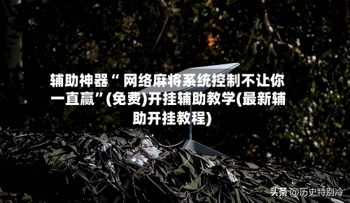 辅助神器“ 网络麻将系统控制不让你一直赢	”(免费)开挂辅助教学(最新辅助开挂教程)-第3张图片
