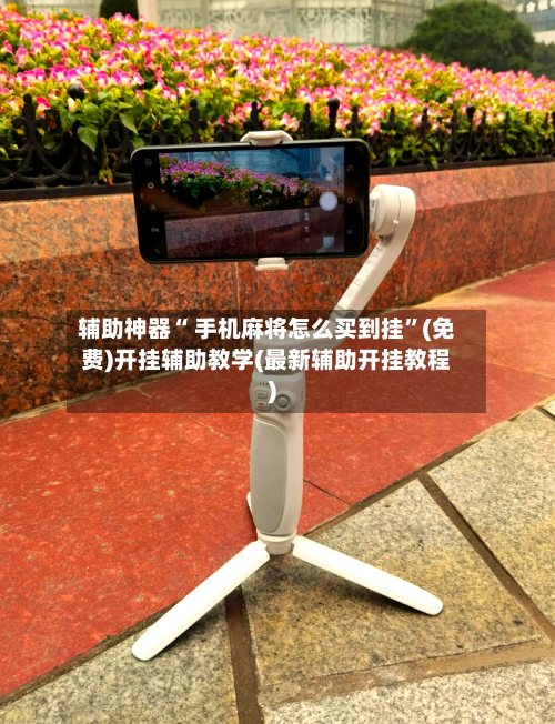 辅助神器“ 手机麻将怎么买到挂”(免费)开挂辅助教学(最新辅助开挂教程)-第3张图片