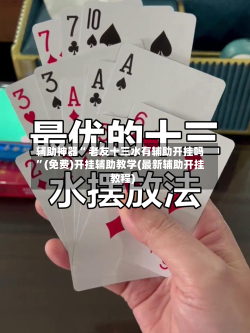 辅助神器“ 老友十三水有辅助开挂吗”(免费)开挂辅助教学(最新辅助开挂教程)-第3张图片