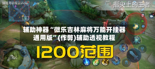辅助神器“微乐吉林麻将万能开挂器通用版	”(作弊)辅助透视教程-第3张图片