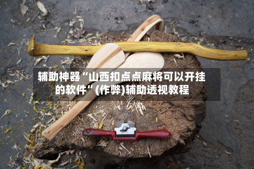 辅助神器“山西扣点点麻将可以开挂的软件”(作弊)辅助透视教程-第3张图片