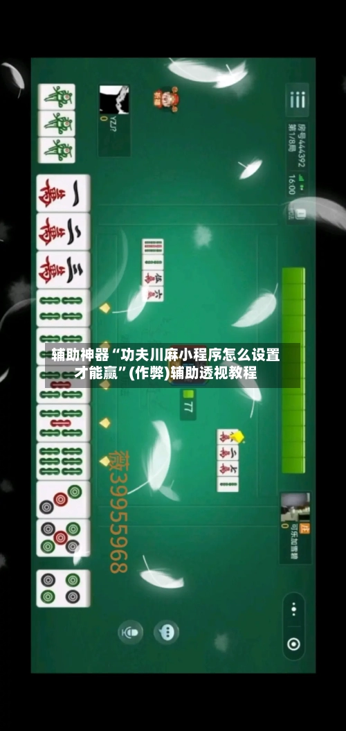 辅助神器“功夫川麻小程序怎么设置才能赢”(作弊)辅助透视教程