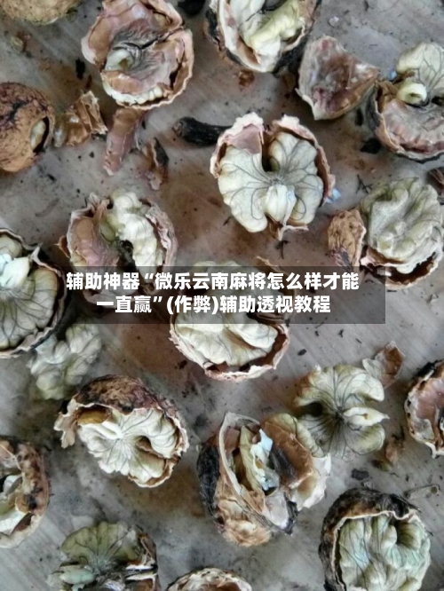 辅助神器“微乐云南麻将怎么样才能一直赢”(作弊)辅助透视教程-第2张图片