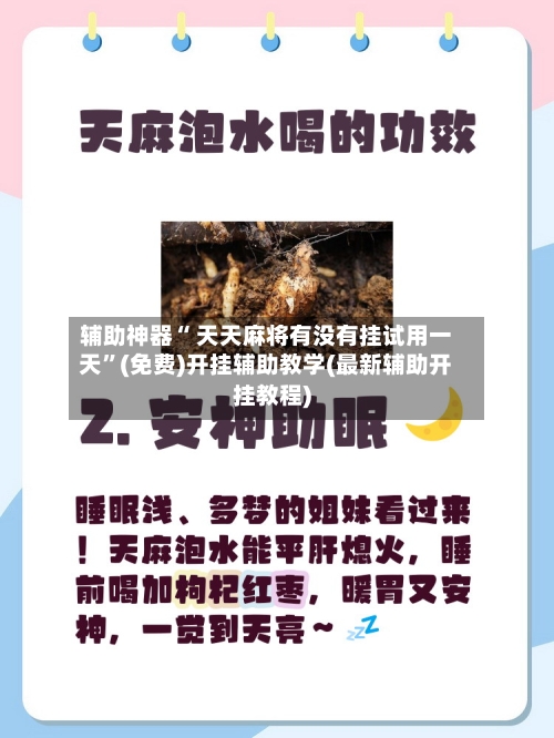 辅助神器“ 天天麻将有没有挂试用一天”(免费)开挂辅助教学(最新辅助开挂教程)-第2张图片