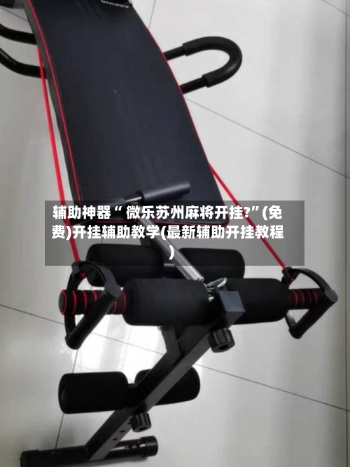 辅助神器“ 微乐苏州麻将开挂?”(免费)开挂辅助教学(最新辅助开挂教程)-第3张图片