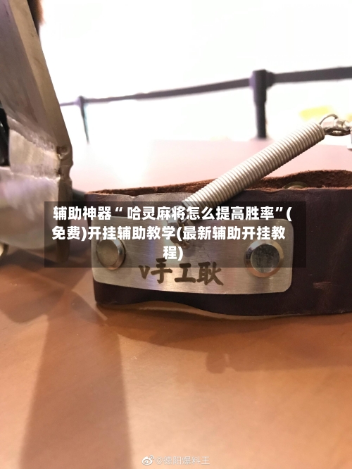 辅助神器“ 哈灵麻将怎么提高胜率”(免费)开挂辅助教学(最新辅助开挂教程)-第2张图片