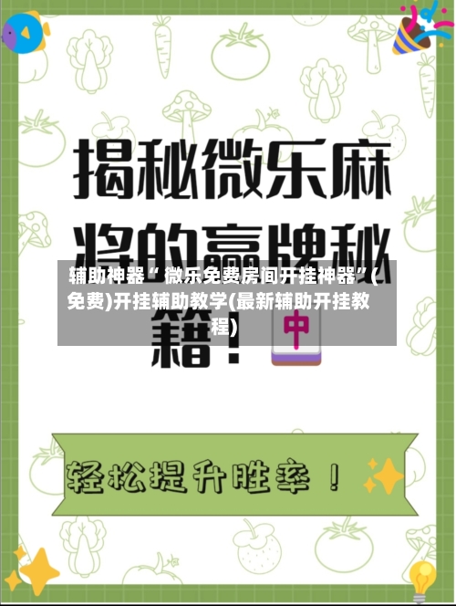 辅助神器“ 微乐免费房间开挂神器”(免费)开挂辅助教学(最新辅助开挂教程)-第3张图片