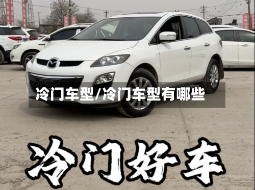 冷门车型/冷门车型有哪些-第3张图片