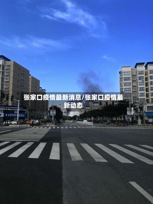 张家口疫情最新消息/张家口疫情最新动态-第2张图片