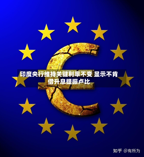 印度央行维持关键利率不变 显示不肯借升息提振卢比-第3张图片