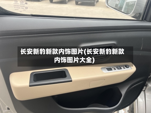 长安新豹新款内饰图片(长安新豹新款内饰图片大全)-第2张图片