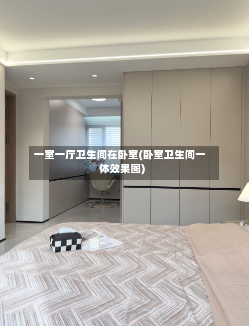 一室一厅卫生间在卧室(卧室卫生间一体效果图)