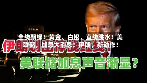 全线飘绿！黄金、白银，直线跳水！美联储，加息大消息！伊朗，新动作！-第2张图片