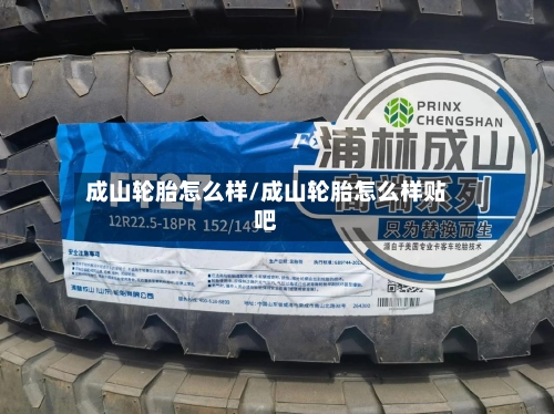 成山轮胎怎么样/成山轮胎怎么样贴吧-第2张图片
