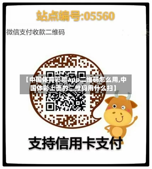 【中国体育彩票app二维码怎么用,中国体彩上面的二维码用什么扫】-第2张图片