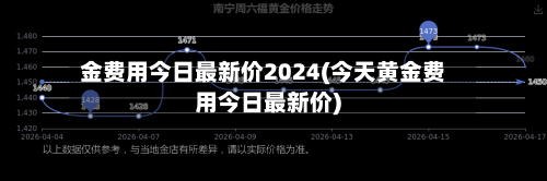 金费用今日最新价2024(今天黄金费用今日最新价)