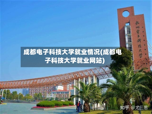 成都电子科技大学就业情况(成都电子科技大学就业网站)