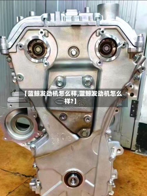【蓝鲸发动机怎么样,蓝鲸发动机怎么样?】