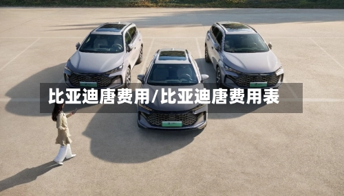 比亚迪唐费用/比亚迪唐费用表