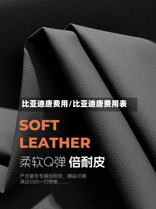 比亚迪唐费用/比亚迪唐费用表-第2张图片