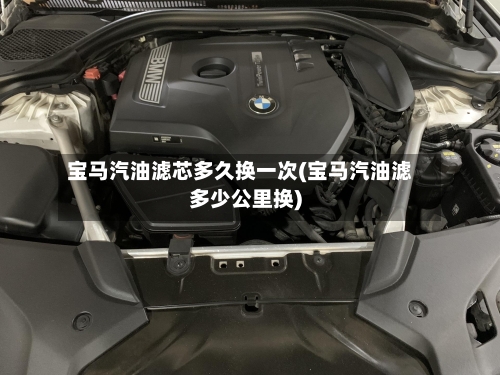 宝马汽油滤芯多久换一次(宝马汽油滤多少公里换)